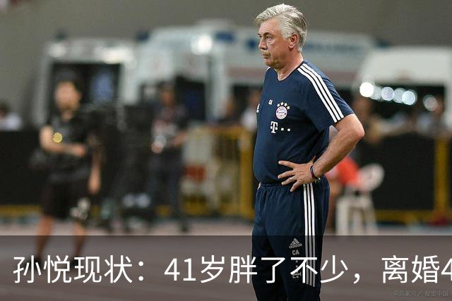 孙悦现状：41岁胖了不少，离婚4年还是单身，一双儿女越长越像他